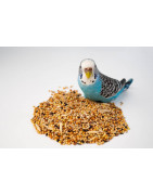 Alimento para Aves
